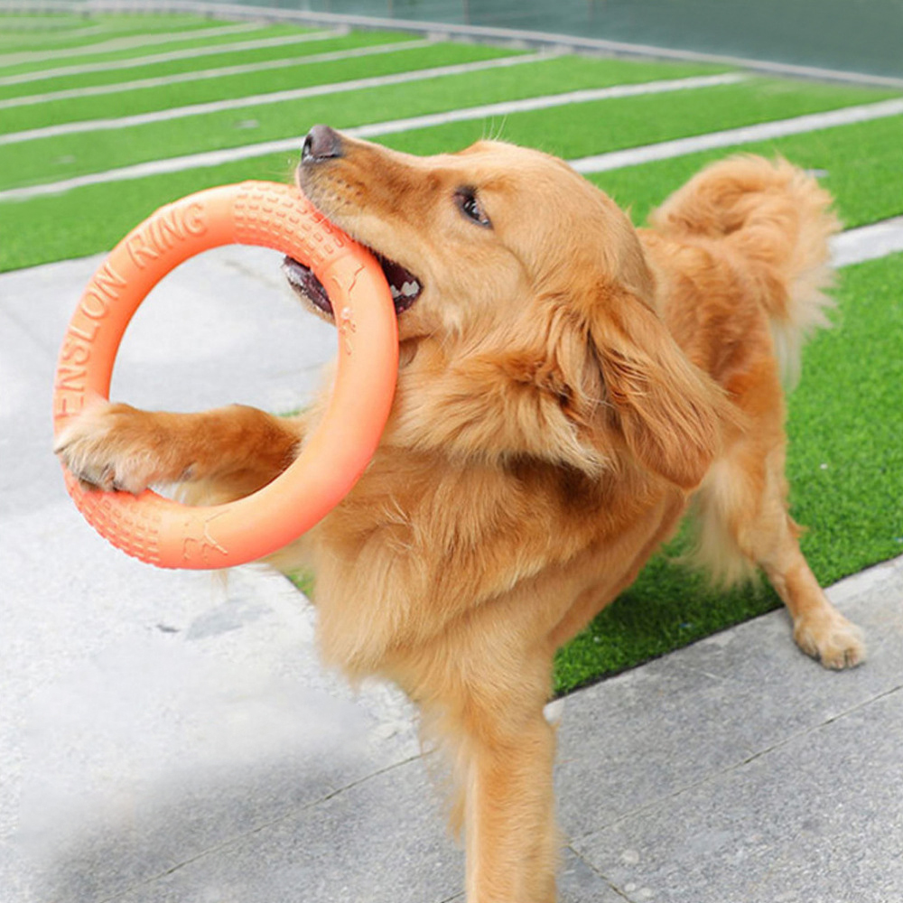 Flying Disc Dog Training Toy - 1 шт., рычаг-экшн для обучения собак
