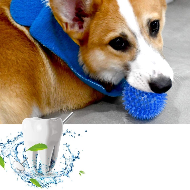 Игрушечный мяч для домашних жи – обзор и цена Interactive Squeaky Plush Dog Toy