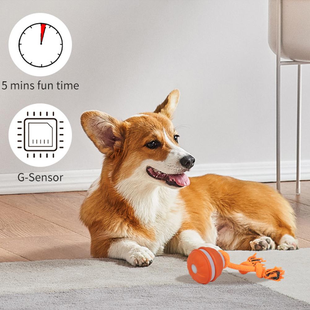 Мяч для домашних животных для  – обзор и цена Automatic Moving Dog Ball
