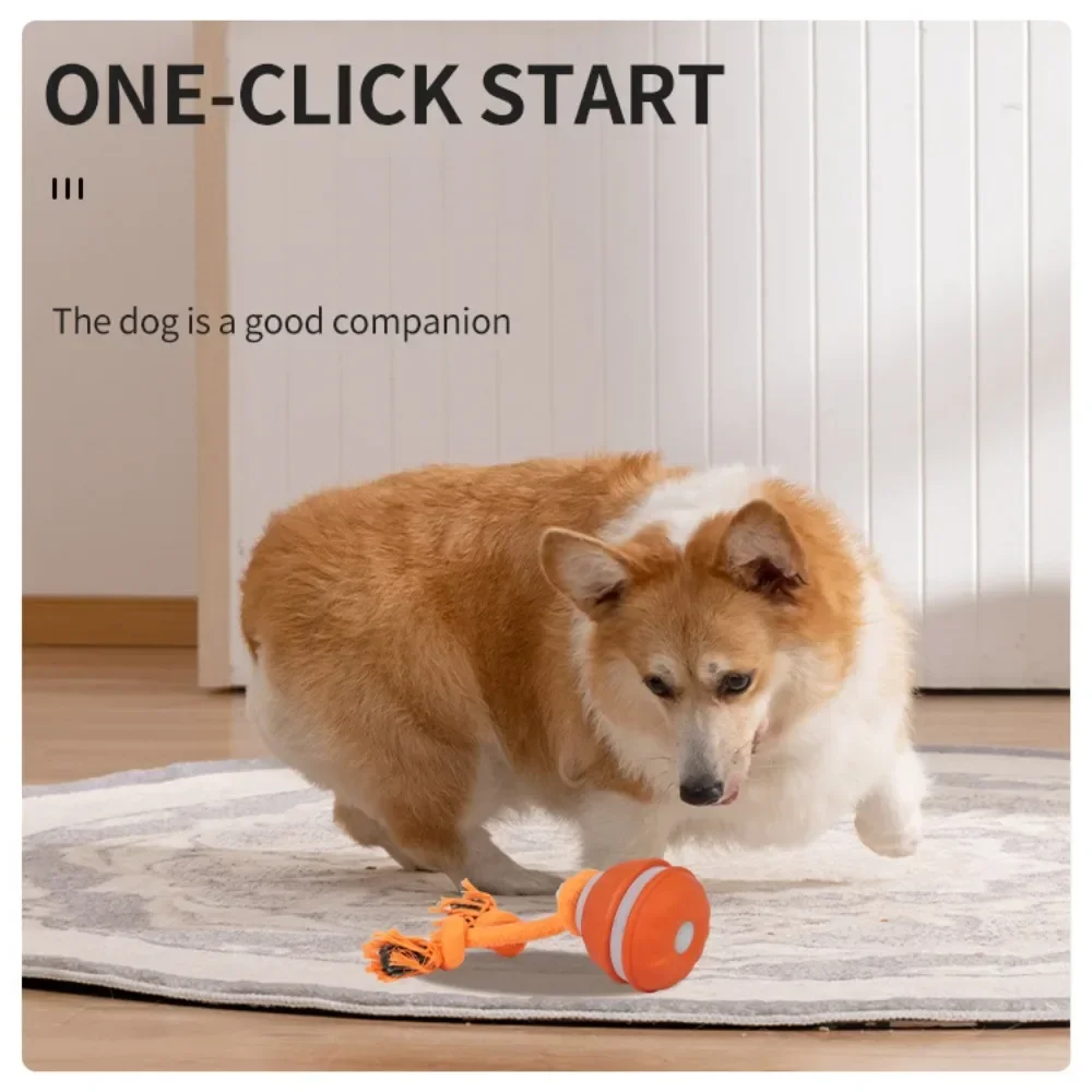 Интерактивная игрушка для соба – обзор и цена Automatic Moving Dog Ball