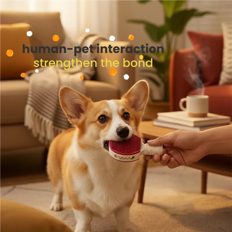 Неразрушимая игрушка для собак – обзор и цена Indestructible Dog Chew Toy