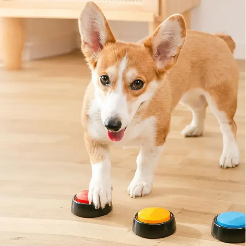 Звуковая коробка для домашних  – обзор и цена Interactive Squeaky Plush Dog Toy