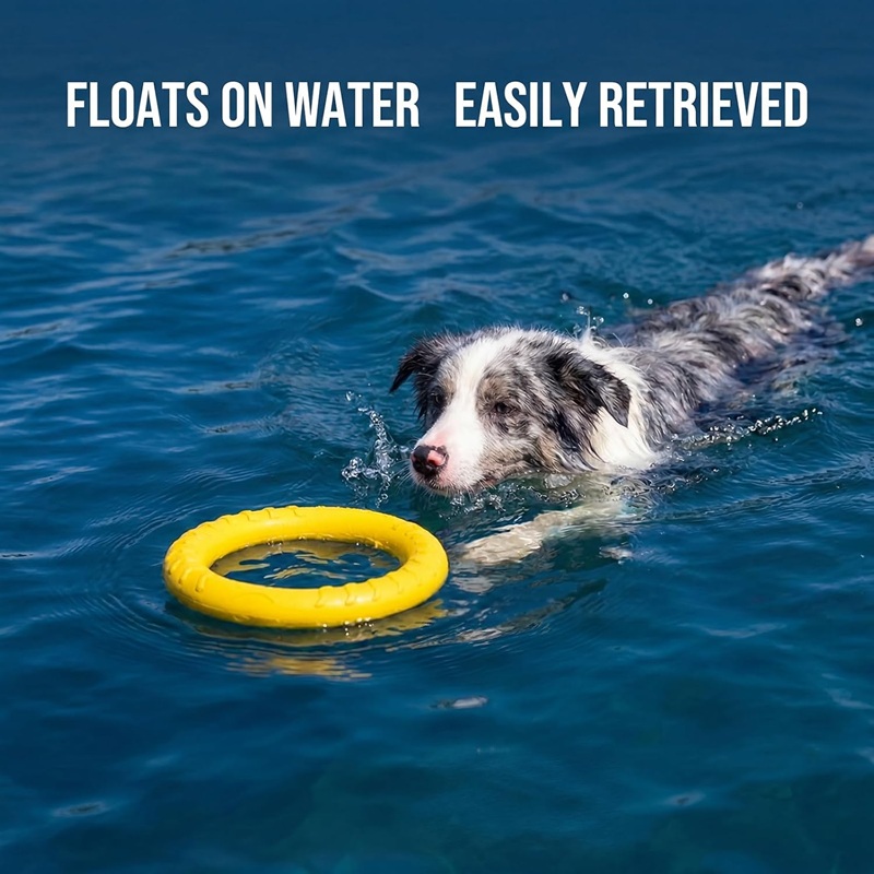 Игрушки для собак: летающие ди – обзор и цена Flying Disc Dog Training Toy