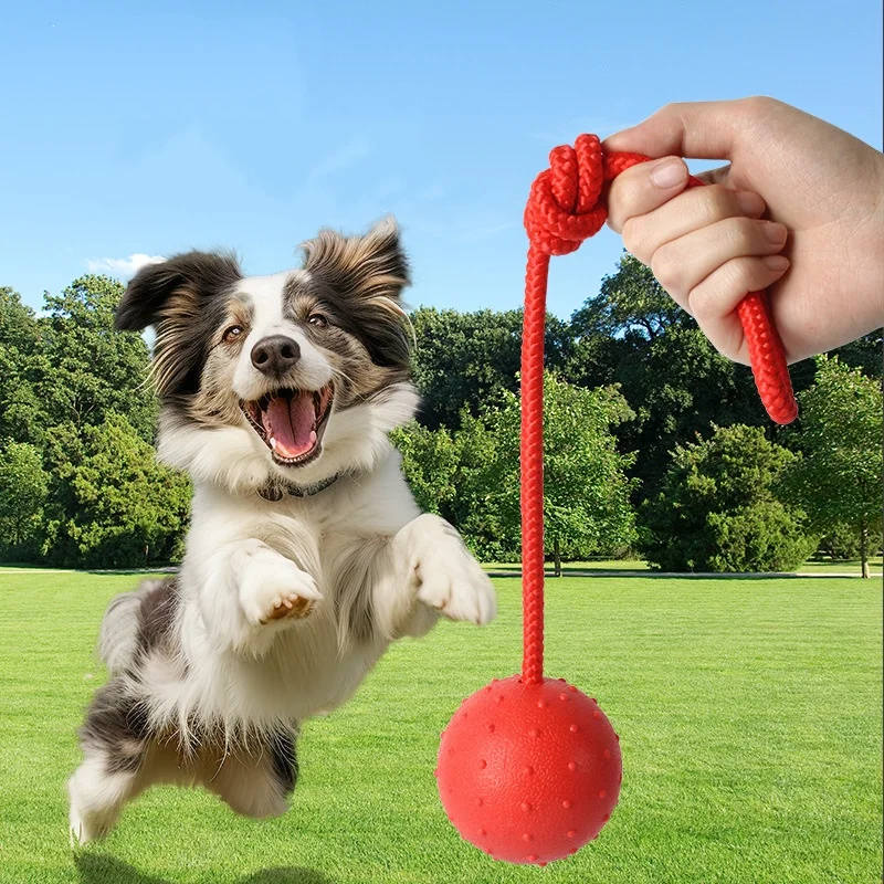 Неразрушимый мяч для собак, иг – обзор и цена Indestructible Dog Chew Toy