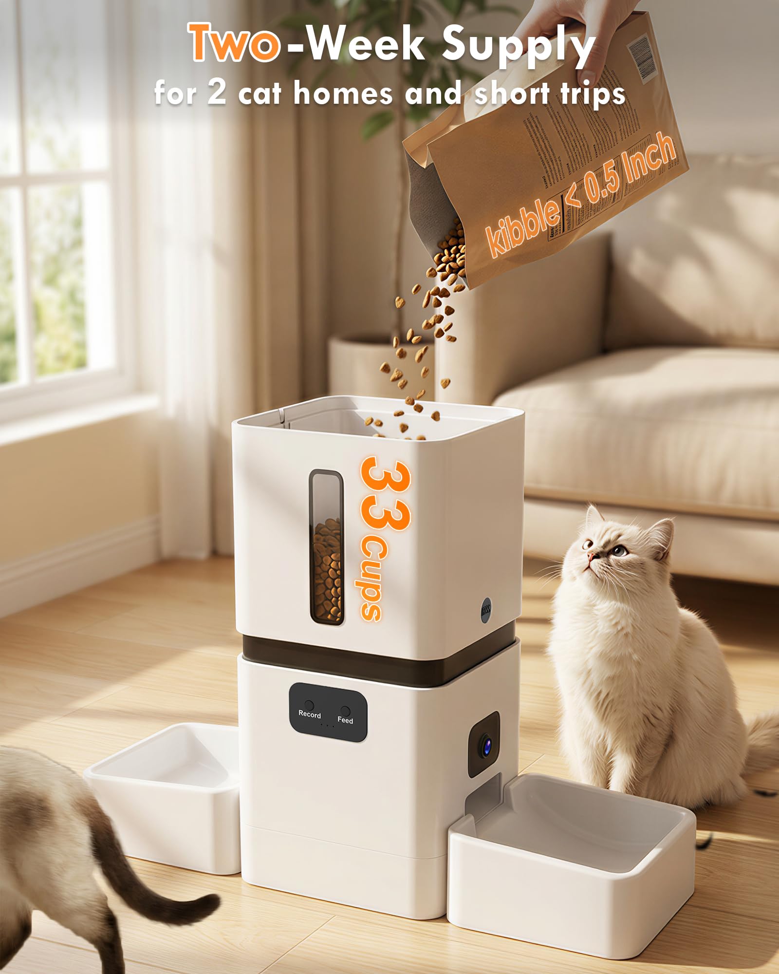 Умная автоматическая кормушка  – обзор и цена Pet Feeders